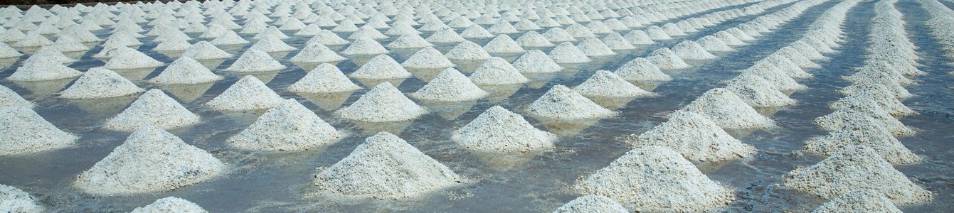 salt-pile-table-salt